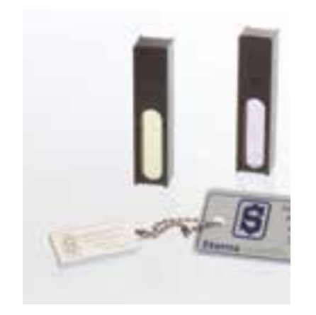 Rare Earth Glasses